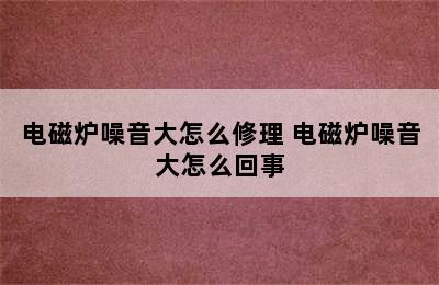 电磁炉噪音大怎么修理 电磁炉噪音大怎么回事